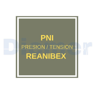 Fabrica PNI (Presion/Tension) Suntech Reanibex 800 Modular